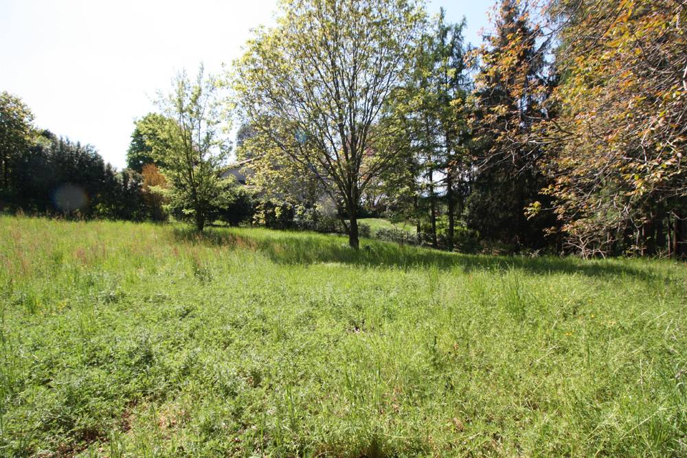 Terreno a Besozzo - Foto 3