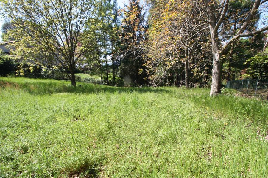 Terreno a Besozzo - Foto 4