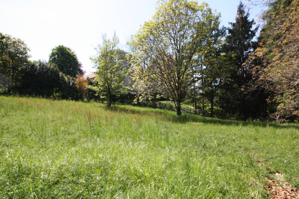 Terreno a Besozzo - Foto 5