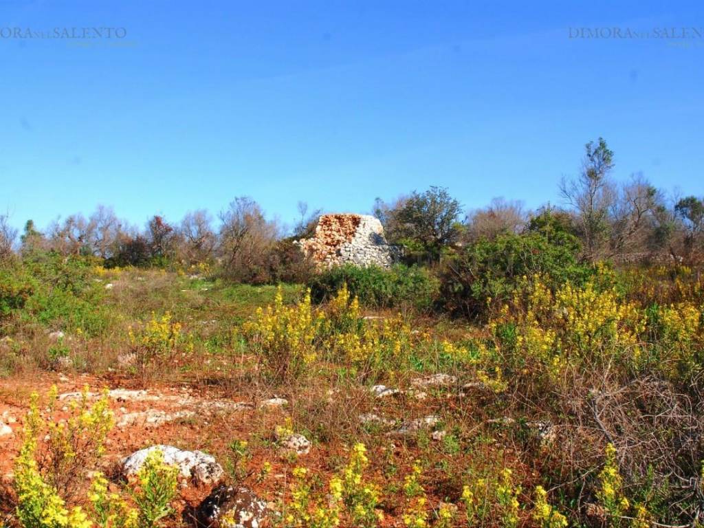 Terreno a Presicce-acquarica in Strada Comunale Sierro Loreto - Foto 2