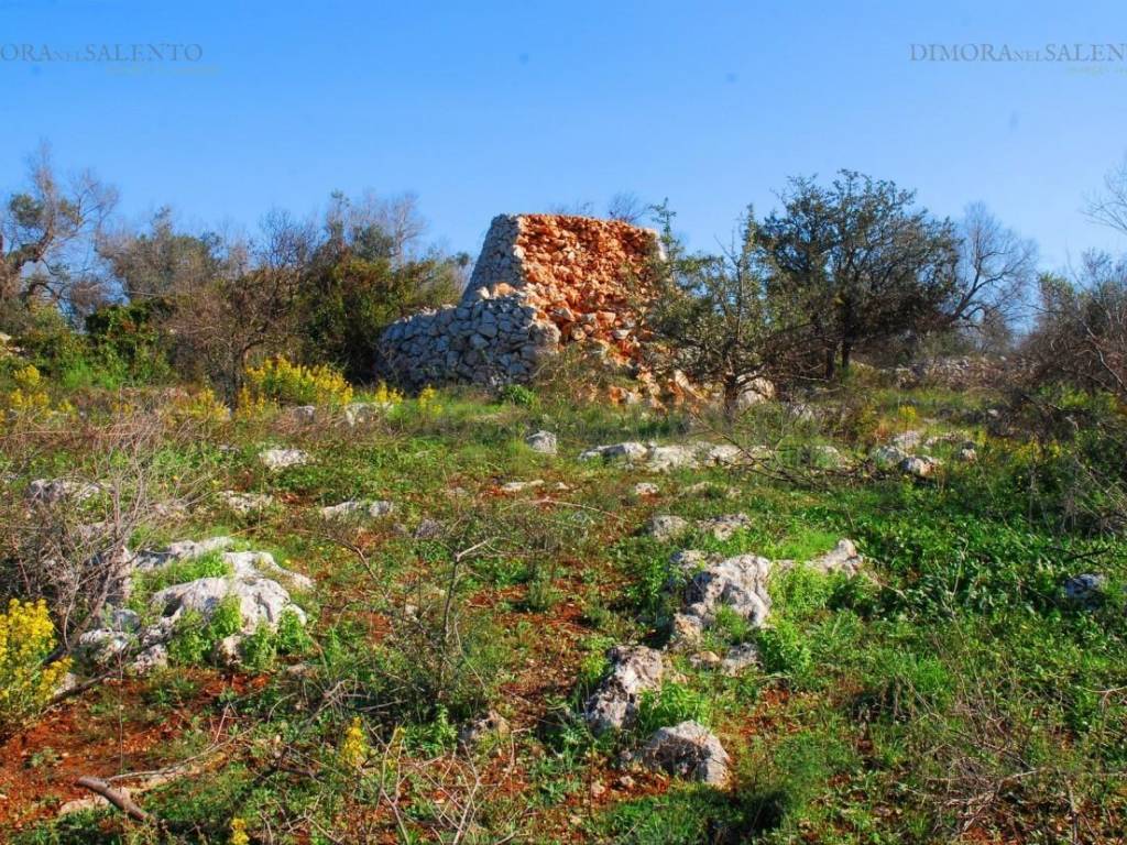 Terreno a Presicce-acquarica in Strada Comunale Sierro Loreto - Foto 3