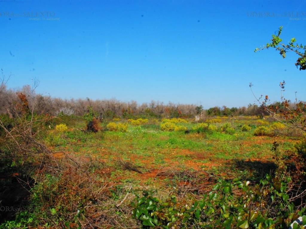 Terreno a Presicce-acquarica in Strada Comunale Sierro Loreto - Foto 5