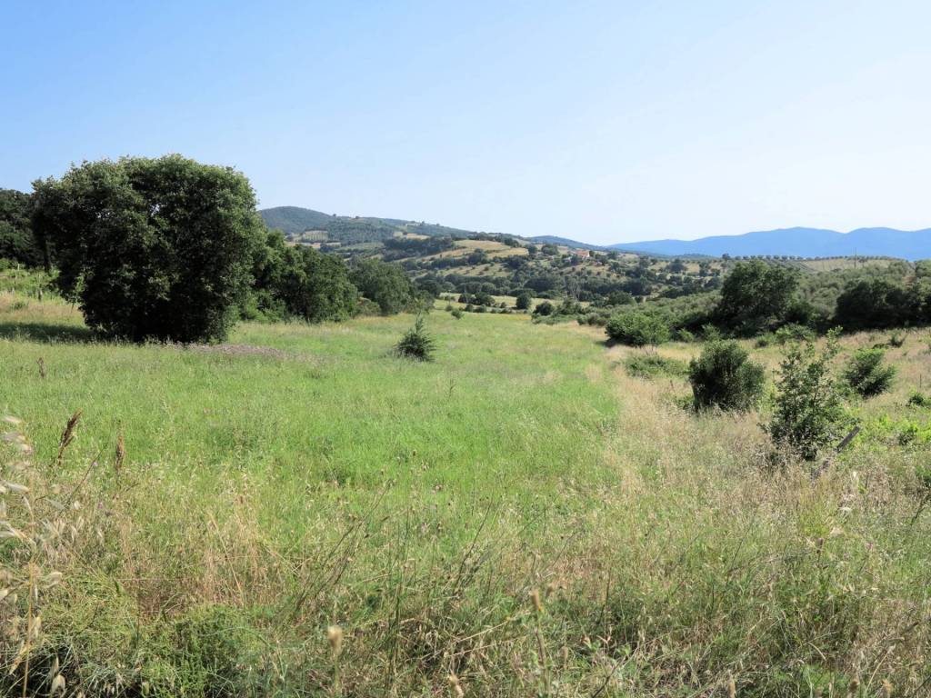 Rustico / casale a Magliano in toscana - Foto 3