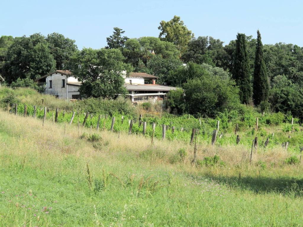 Rustico / casale a Magliano in toscana - Foto 4