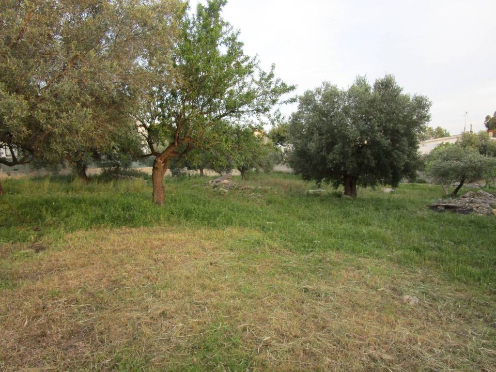 Terreno a Statte - Foto 4