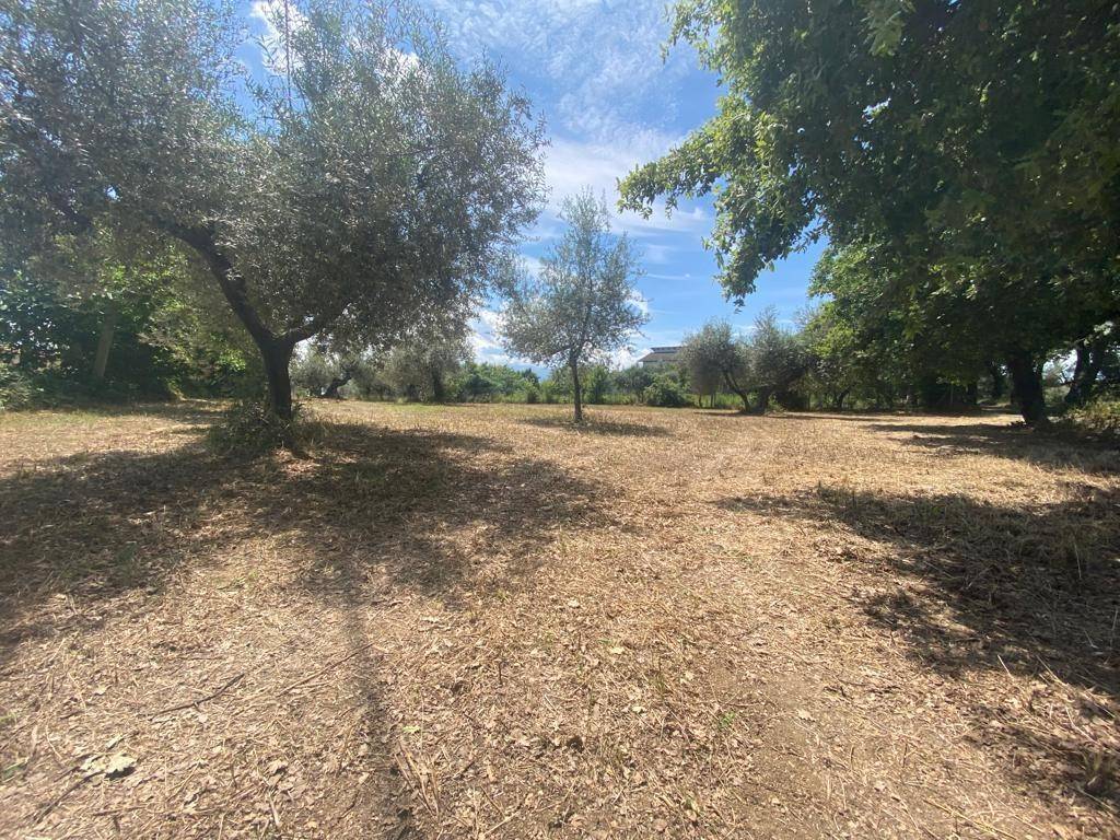 Terreno a Cepagatti in Via Querceto - Foto 2