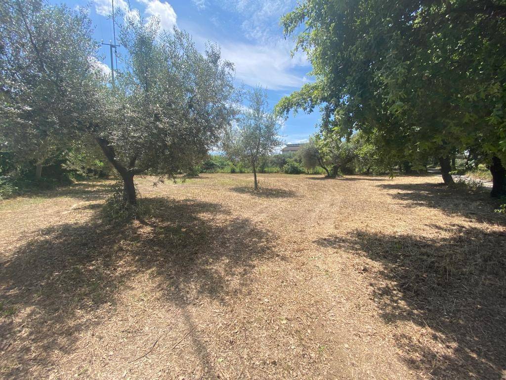 Terreno a Cepagatti in Via Querceto - Foto 3