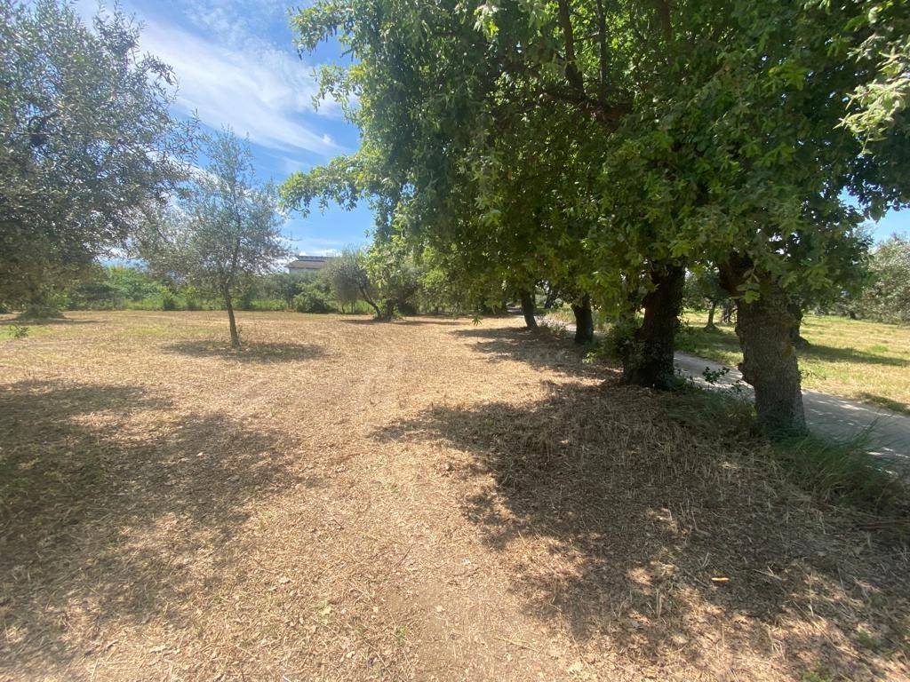 Terreno a Cepagatti in Via Querceto - Foto 5