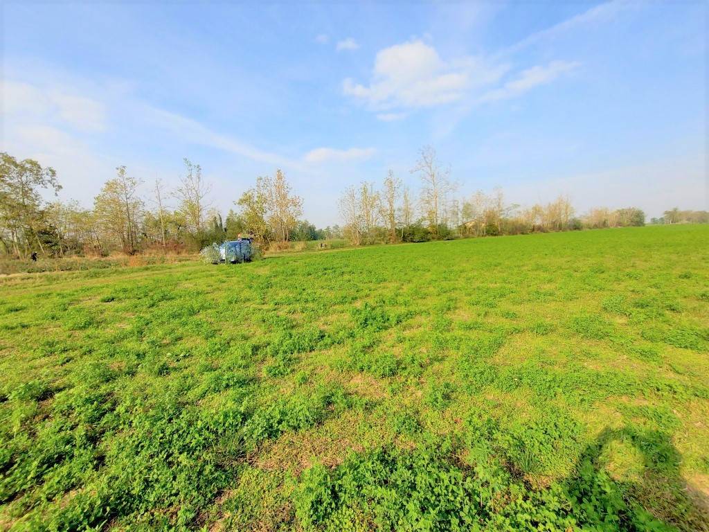 Terreno a Castiglione delle stiviere in Via Giovanni Segantini - Foto 4