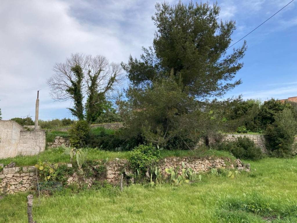 Rustico / casale a Ceglie messapica in CONTRADA ULMO - Foto 3