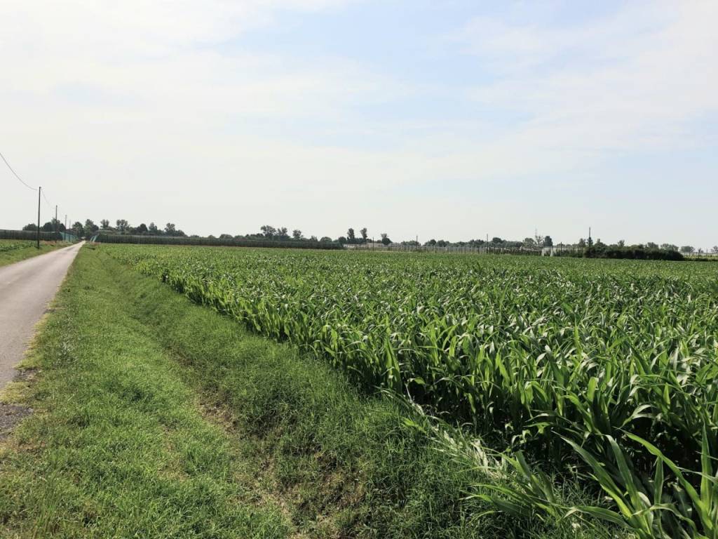 Rustico / casale a Bomporto in VIA BORSARA - Foto 2