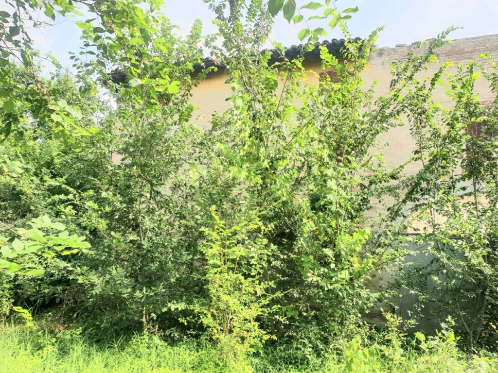 Rustico / casale a Bomporto in VIA BORSARA - Foto 4