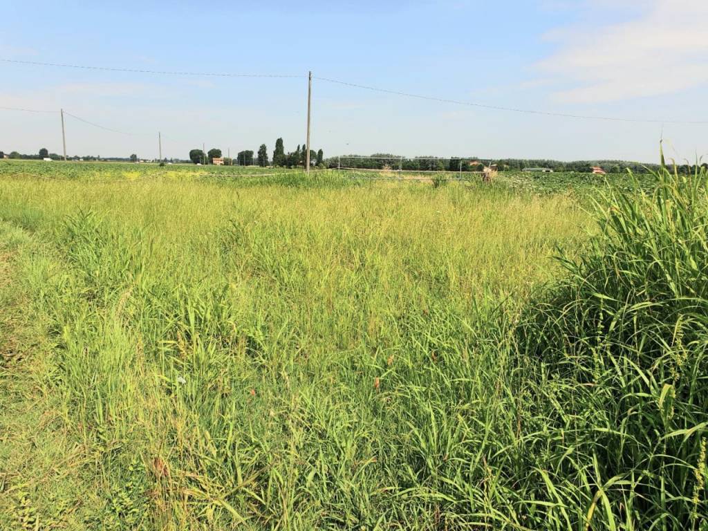 Rustico / casale a Bomporto in VIA NUOVA - Foto 4