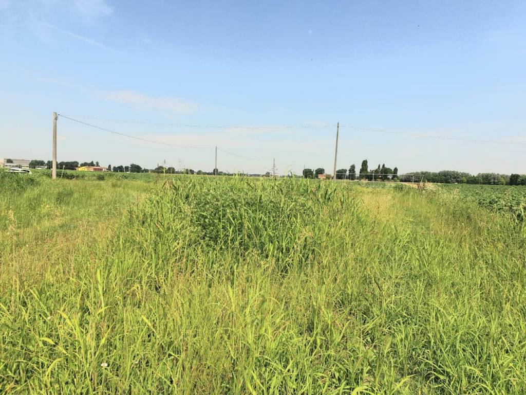 Rustico / casale a Bomporto in VIA NUOVA - Foto 5