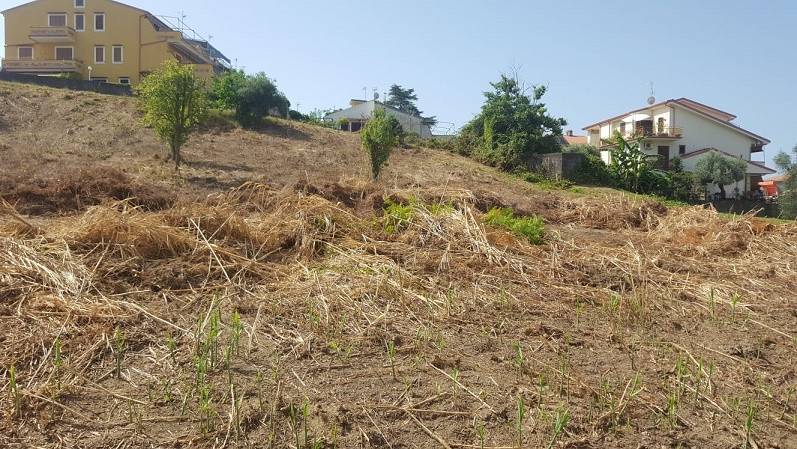 Terreno a Belvedere marittimo in Contrada Vetticello - Foto 3
