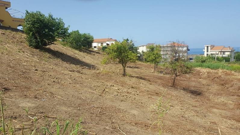 Terreno a Belvedere marittimo in Contrada Vetticello - Foto 4