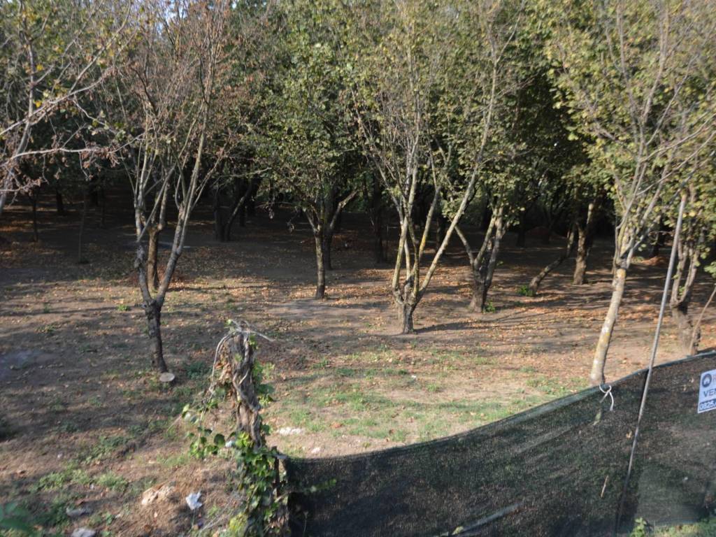 Terreno a Santa lucia di serino in Via Sottotenente Mariconda - Foto 3
