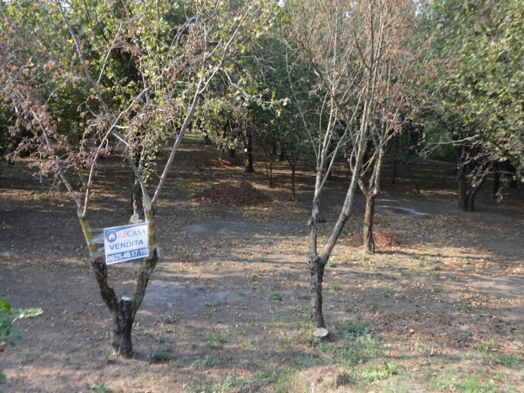 Terreno a Santa lucia di serino in Via Sottotenente Mariconda - Foto 4