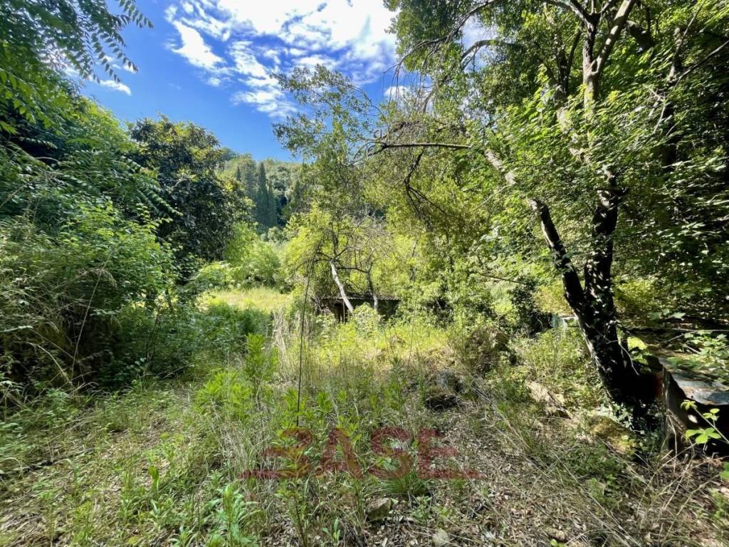 Terreno a Bibbona in Via Vittorio Emanuele - Foto 5