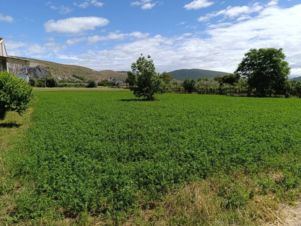 Terreno a Vitulazio in Via Miceli, 5 - Foto 2