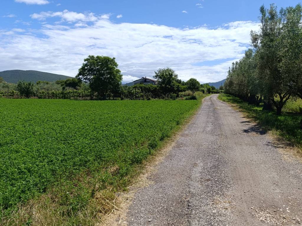 Terreno a Vitulazio in Via Miceli, 5 - Foto 3
