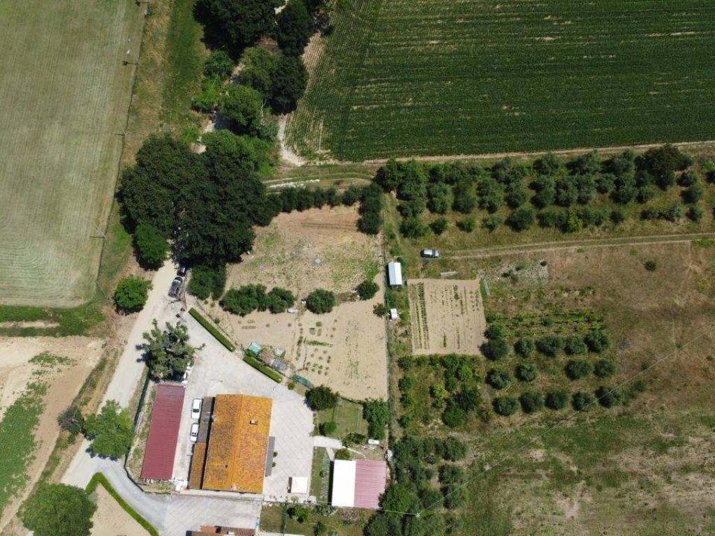 Rustico / casale a Senigallia in Strada del Rosciolo, 24 - Foto 5