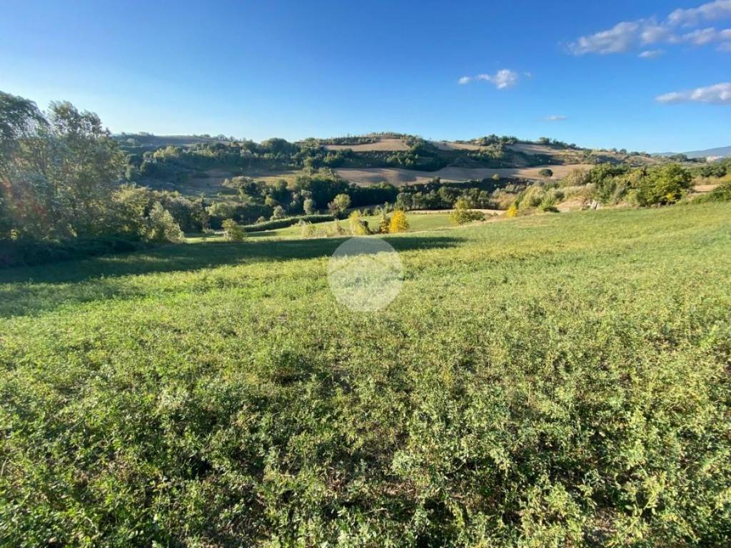 Terreno a Collevecchio in Via dei Cappuccini - Foto 2