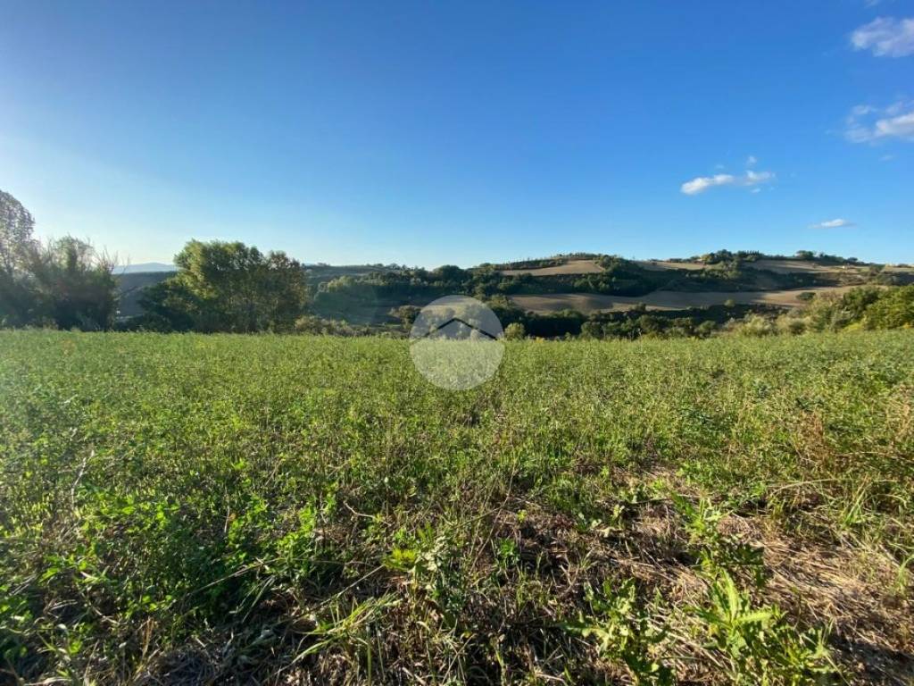 Terreno a Collevecchio in Via dei Cappuccini - Foto 3