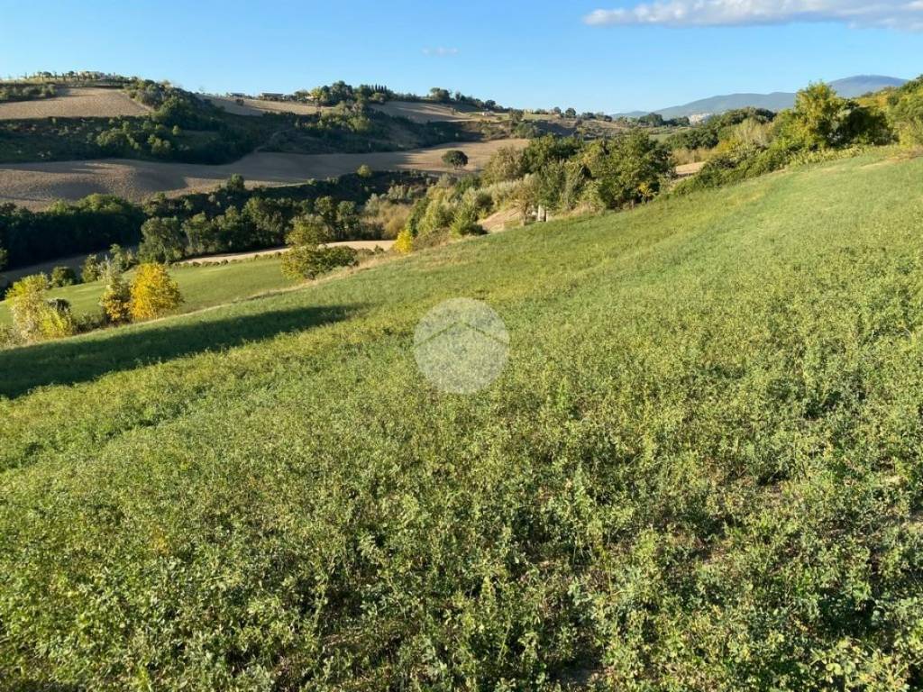 Terreno a Collevecchio in Via dei Cappuccini - Foto 5
