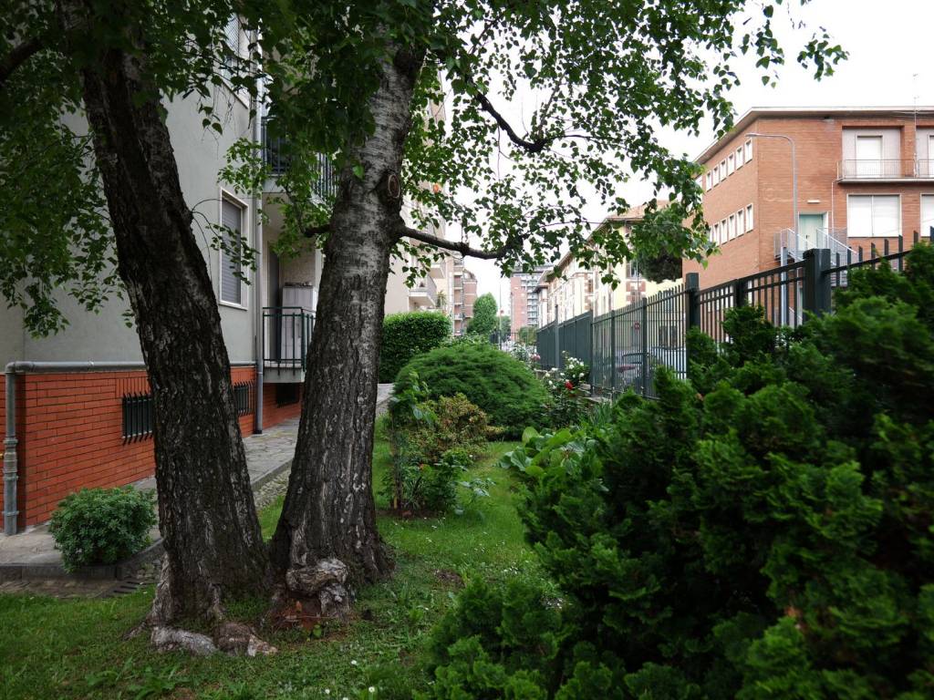 Appartamento a Biella in Via Giovanni Schiapparelli, 18 - Foto 3