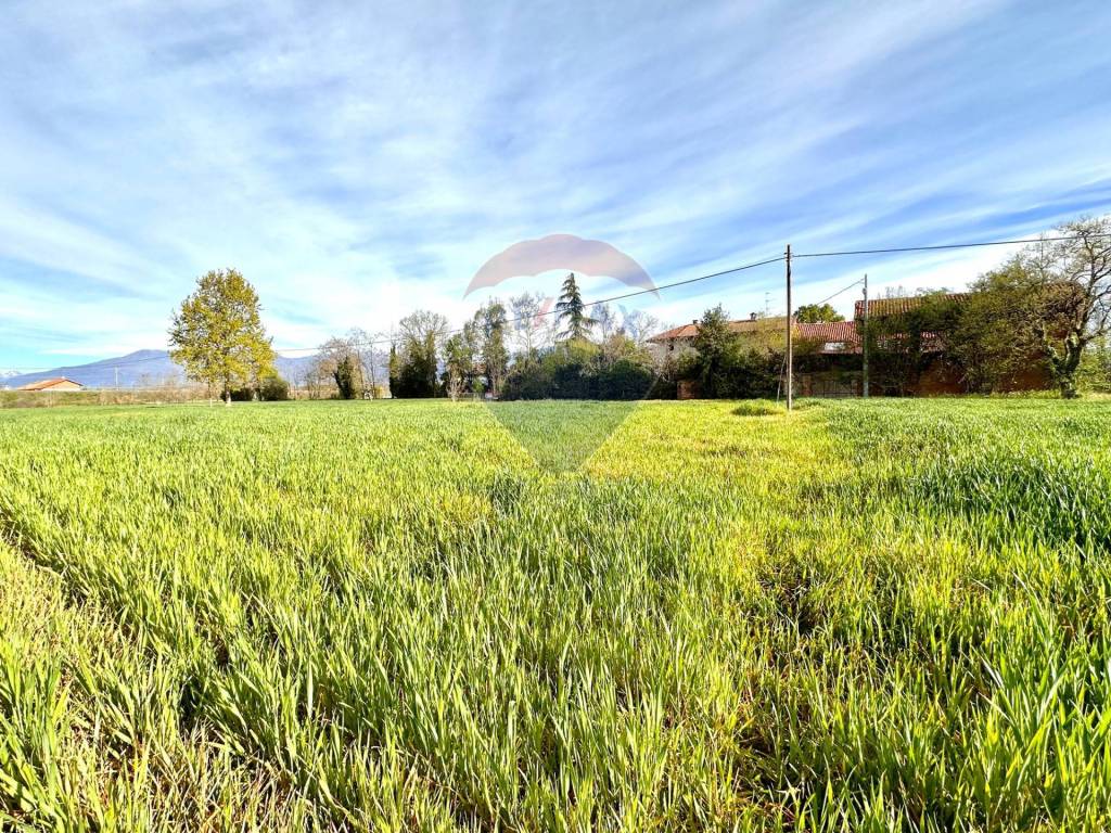 Terreno a Salussola in Via Massazza - Foto 2