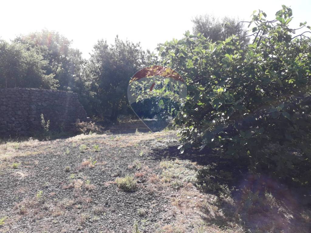Terreno a Tremestieri etneo in Via Caravaggio - Foto 4