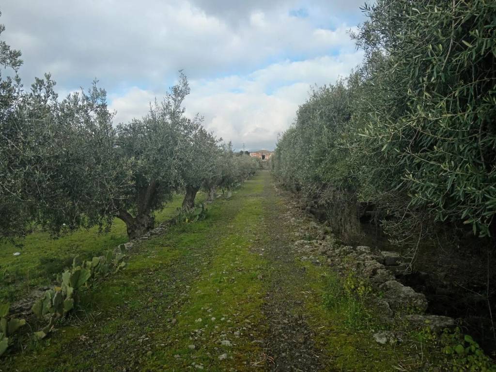 Terreno a Biancavilla in Via Della Montagna S.N.C. - Foto 4