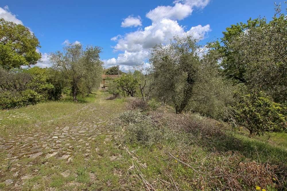 Rustico / casale a Poggibonsi in Via Cassia - Foto 2