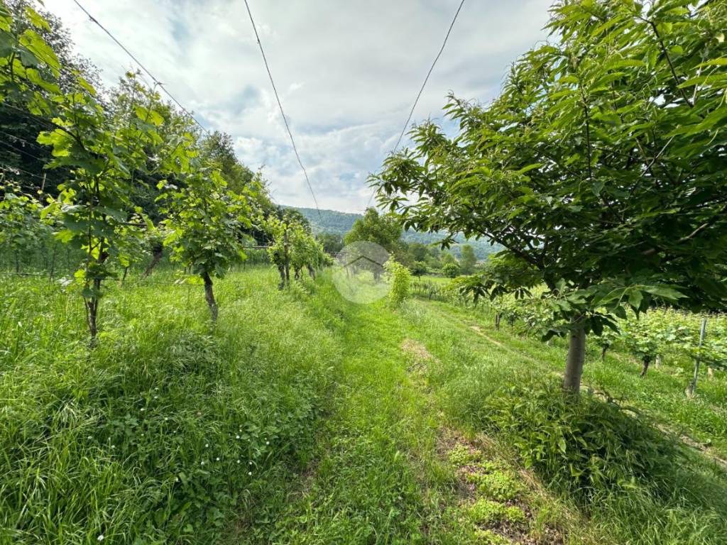 Terreno a Corte franca in Via giuseppe garibaldi, 10 - Foto 2