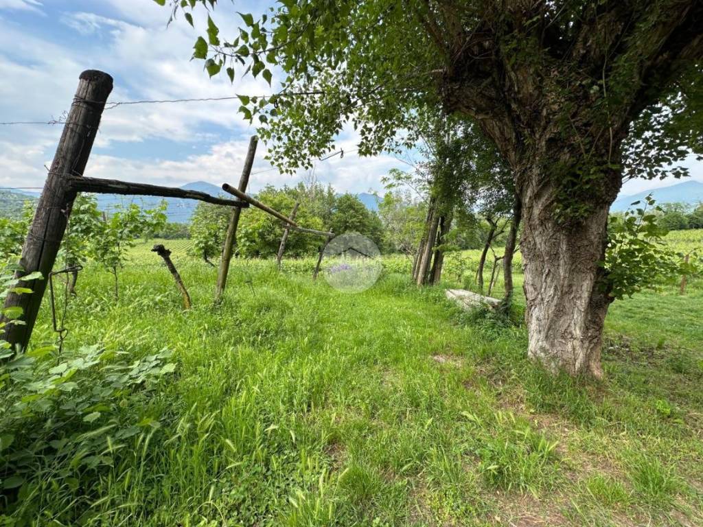 Terreno a Corte franca in Via giuseppe garibaldi, 10 - Foto 3