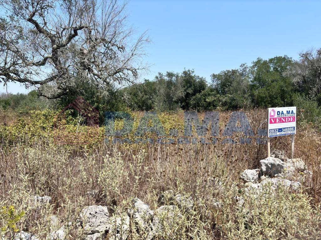 Terreno a Spongano in Strada Vicinale Cisterna dei Tetti - Foto 2