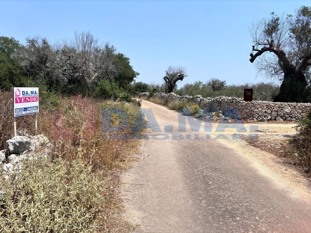 Terreno a Spongano in Strada Vicinale Cisterna dei Tetti - Foto 3