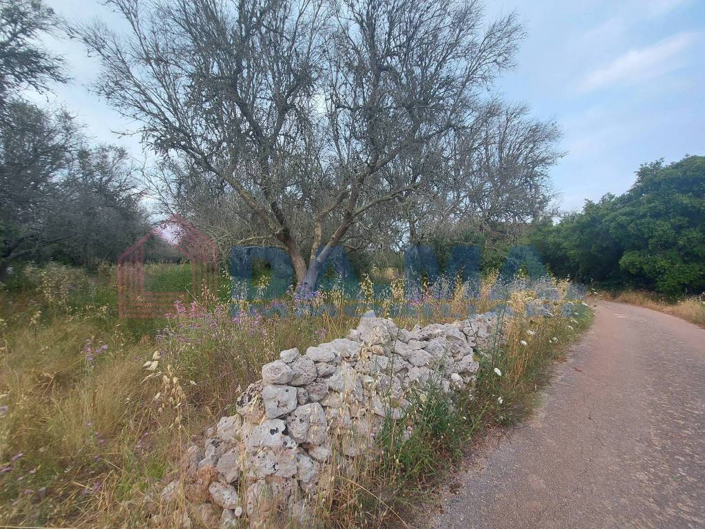 Terreno a Spongano in Strada Vicinale Cisterna dei Tetti - Foto 5