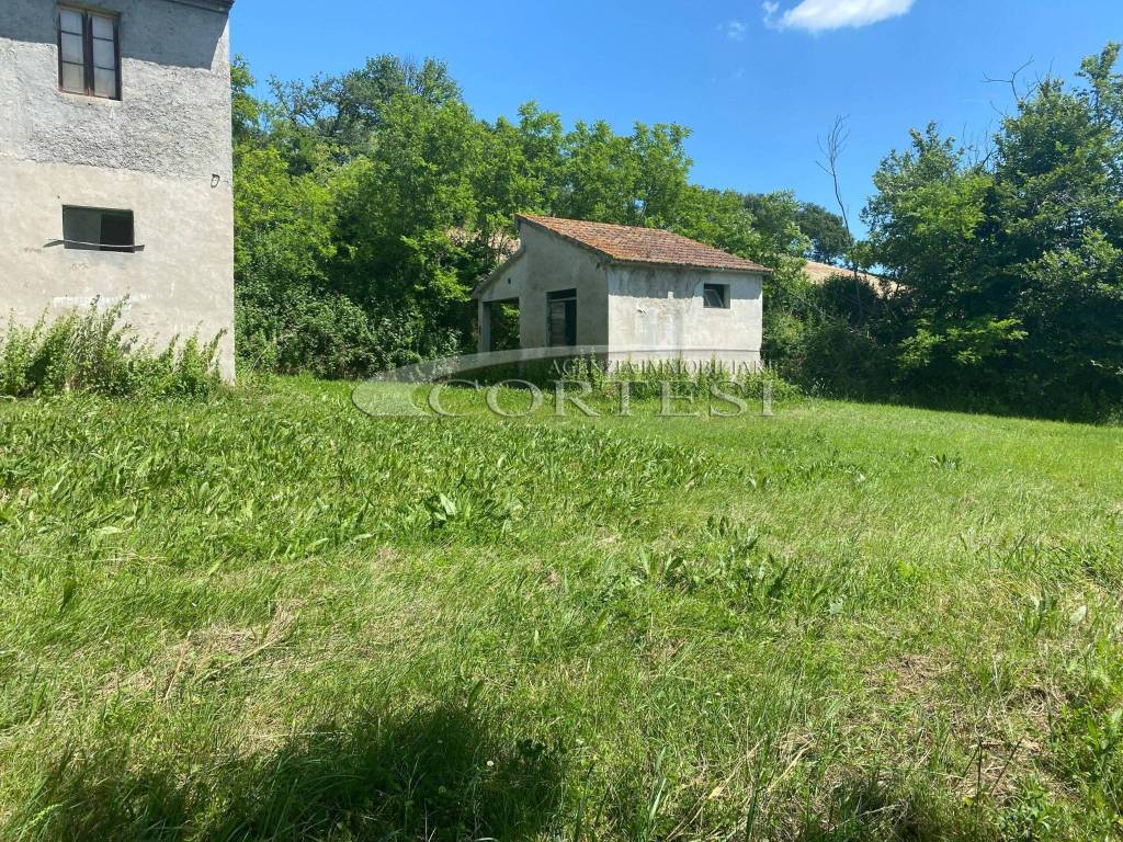 Rustico / casale a Mondavio - Foto 4