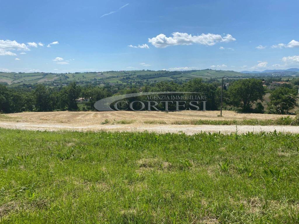 Rustico / casale a Mondavio - Foto 5