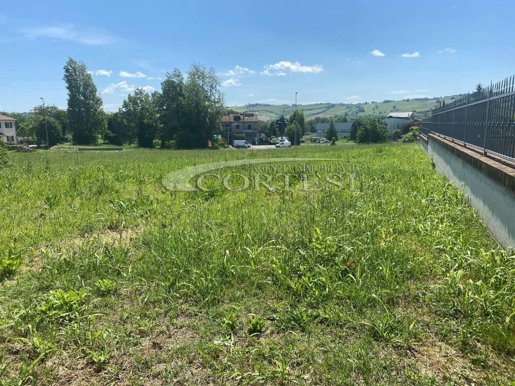 Terreno a Mondavio - Foto 3