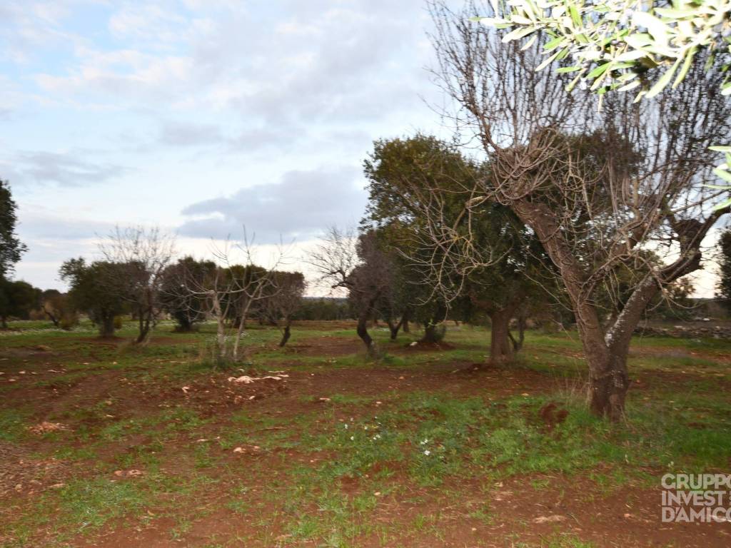 Rustico / casale a Martina franca in Contrada Monte Fellone/H - Foto 4