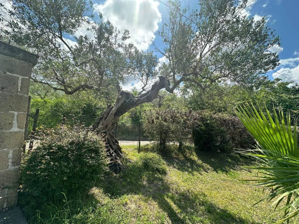 Villa a Melizzano in Contrada Tuoro delle Tavole, 8 - Foto 5