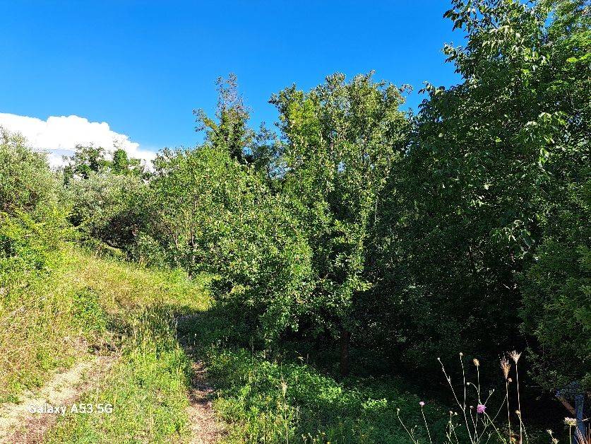 Terreno a Rosignano marittimo in Località Acquabona - Foto 2