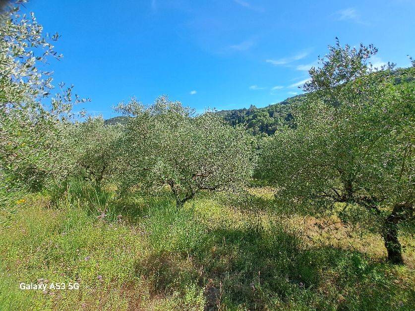 Terreno a Rosignano marittimo in Località Acquabona - Foto 3