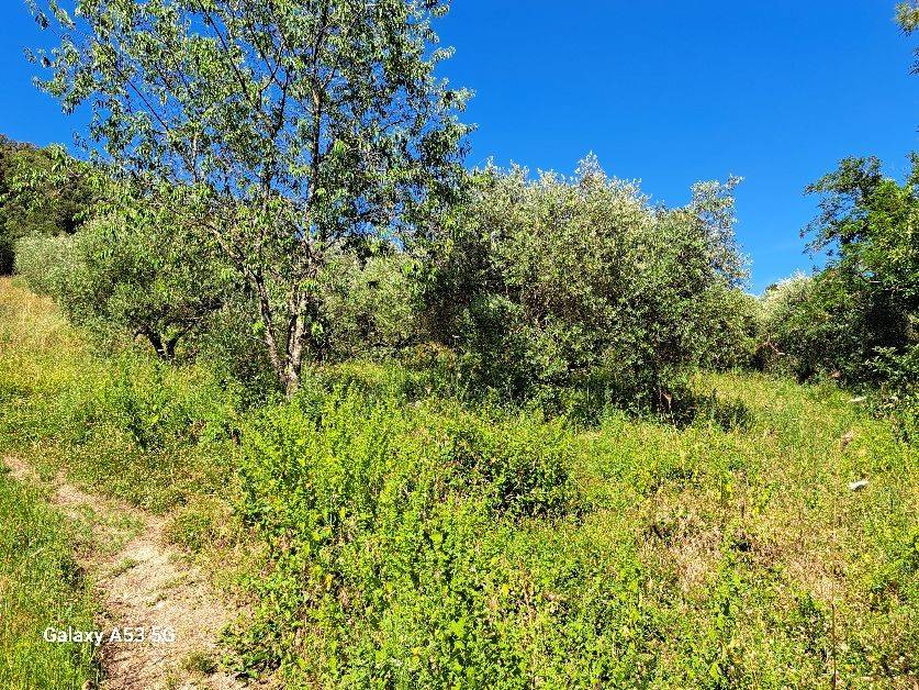 Terreno a Rosignano marittimo in Località Acquabona - Foto 4