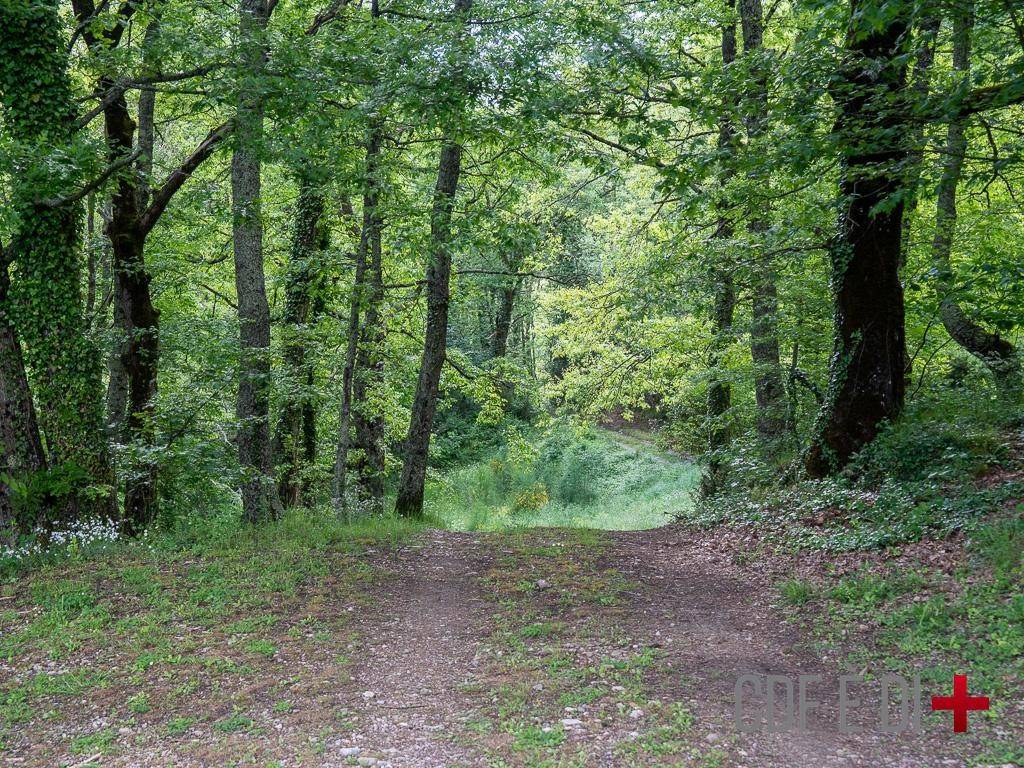 Rustico / casale a Montieri in Località Gabellino - Foto 4
