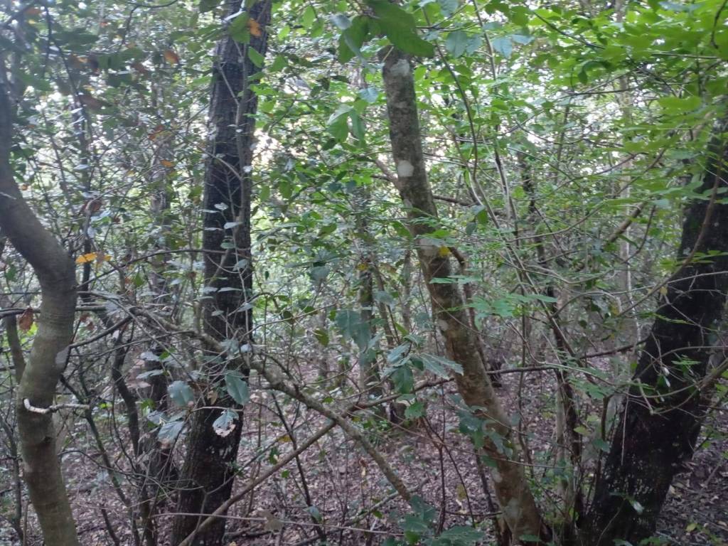 Terreno a Panicale in Via Montali - Foto 2