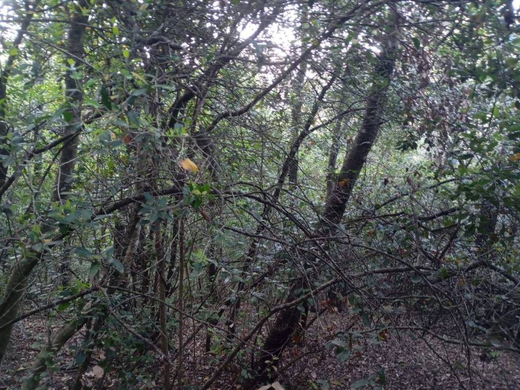 Terreno a Panicale in Via Montali - Foto 3